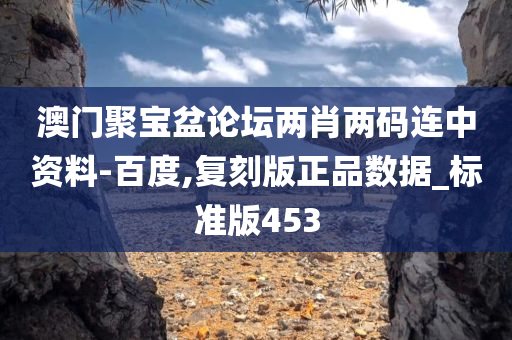 澳门聚宝盆论坛两肖两码连中资料-百度,复刻版正品数据_标准版453