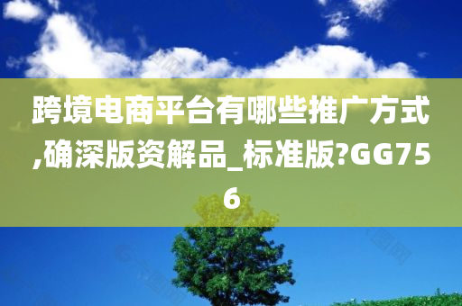 跨境电商平台有哪些推广方式,确深版资解品_标准版?GG756