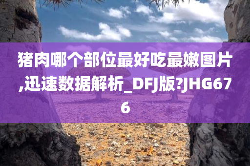 猪肉哪个部位最好吃最嫩图片,迅速数据解析_DFJ版?JHG676