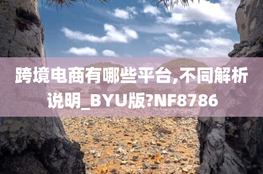 跨境电商有哪些平台,不同解析说明_BYU版?NF8786