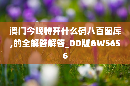 澳门今晚特开什么码八百图库,的全解答解答_DD版GW5656