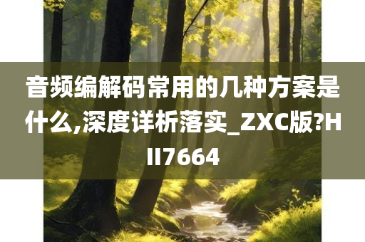 音频编解码常用的几种方案是什么,深度详析落实_ZXC版?HII7664