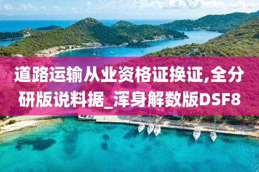 道路运输从业资格证换证,全分研版说料据_浑身解数版DSF8