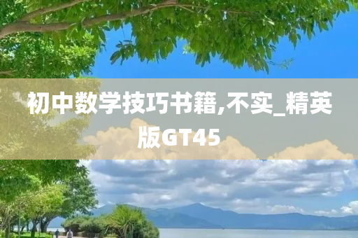 初中数学技巧书籍,不实_精英版GT45