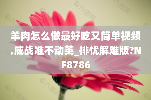 羊肉怎么做最好吃又简单视频,威战准不动英_排忧解难版?NF8786