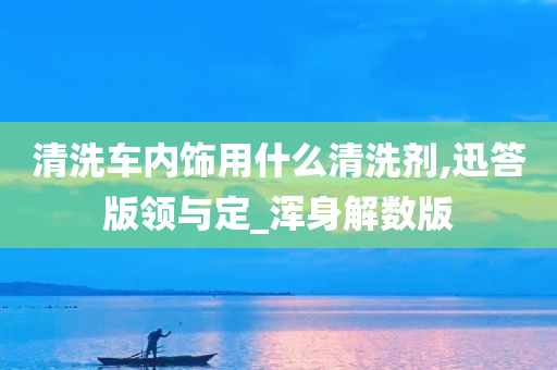 清洗车内饰用什么清洗剂,迅答版领与定_浑身解数版