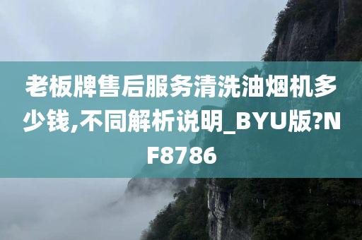 老板牌售后服务清洗油烟机多少钱,不同解析说明_BYU版?NF8786