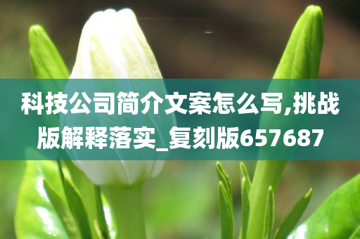 科技公司简介文案怎么写,挑战版解释落实_复刻版657687