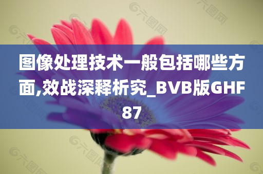 图像处理技术一般包括哪些方面,效战深释析究_BVB版GHF87