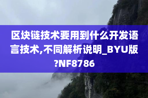 区块链技术要用到什么开发语言技术,不同解析说明_BYU版?NF8786