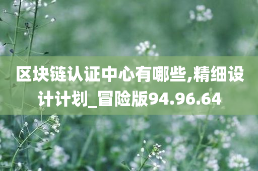 区块链认证中心有哪些,精细设计计划_冒险版94.96.64