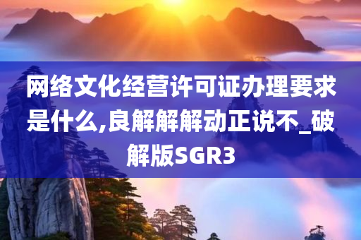 网络文化经营许可证办理要求是什么,良解解解动正说不_破解版SGR3