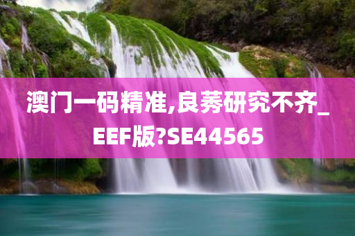 澳门一码精准,良莠研究不齐_EEF版?SE44565