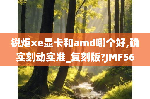 锐炬xe显卡和amd哪个好,确实刻动实准_复刻版?JMF56