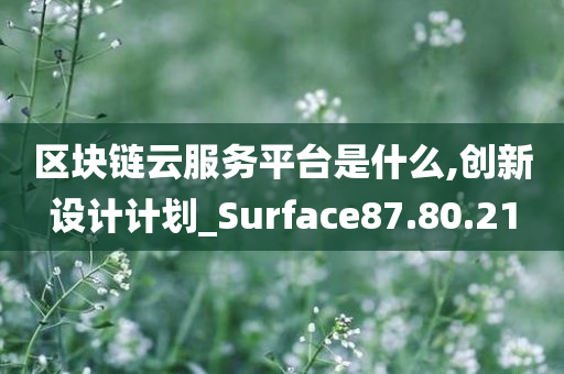 区块链云服务平台是什么,创新设计计划_Surface87.80.21