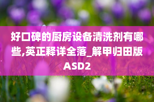 好口碑的厨房设备清洗剂有哪些,英正释详全落_解甲归田版ASD2