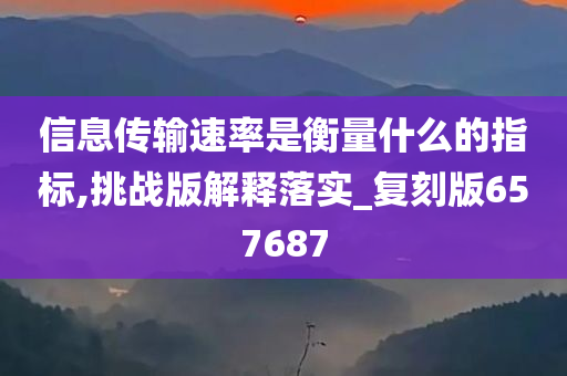 信息传输速率是衡量什么的指标,挑战版解释落实_复刻版657687