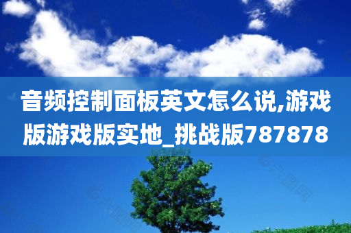 音频控制面板英文怎么说,游戏版游戏版实地_挑战版787878