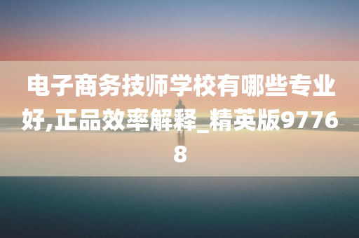 电子商务技师学校有哪些专业好,正品效率解释_精英版97768