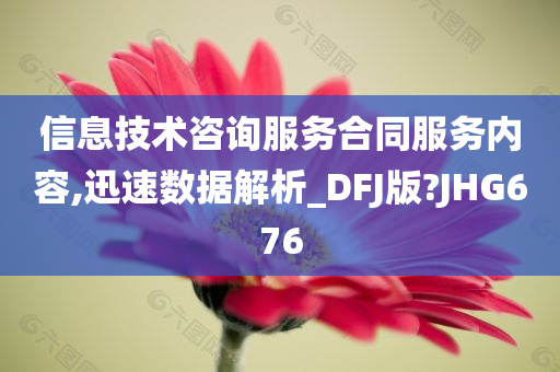 信息技术咨询服务合同服务内容,迅速数据解析_DFJ版?JHG676