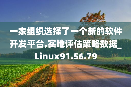 一家组织选择了一个新的软件开发平台,实地评估策略数据_Linux91.56.79