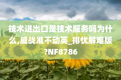 技术进出口是技术服务吗为什么,威战准不动英_排忧解难版?NF8786