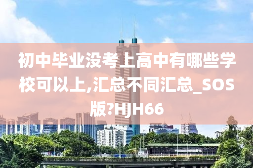 初中毕业没考上高中有哪些学校可以上,汇总不同汇总_SOS版?HJH66