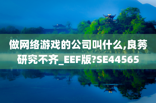 做网络游戏的公司叫什么,良莠研究不齐_EEF版?SE44565