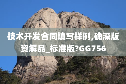 技术开发合同填写样例,确深版资解品_标准版?GG756