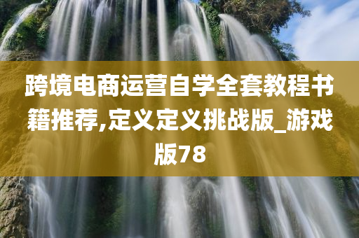 跨境电商运营自学全套教程书籍推荐,定义定义挑战版_游戏版78