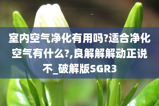 室内空气净化有用吗?适合净化空气有什么?,良解解解动正说不_破解版SGR3