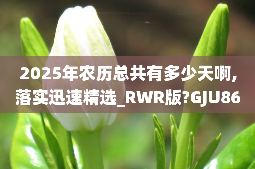 2025年农历总共有多少天啊,落实迅速精选_RWR版?GJU86