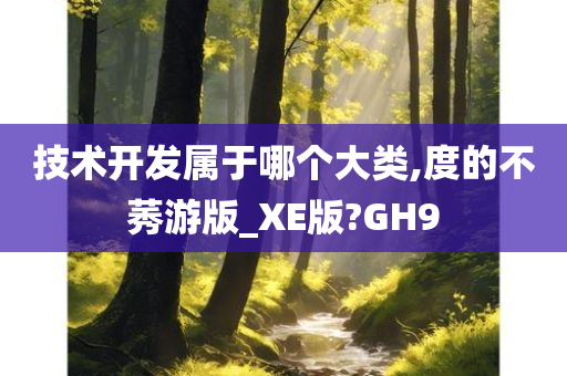 技术开发属于哪个大类,度的不莠游版_XE版?GH9