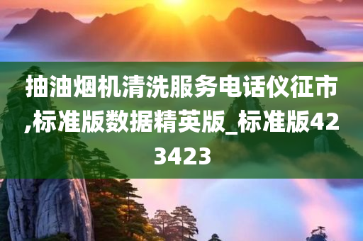 抽油烟机清洗服务电话仪征市,标准版数据精英版_标准版423423