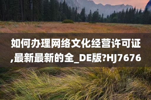 如何办理网络文化经营许可证,最新最新的全_DE版?HJ7676