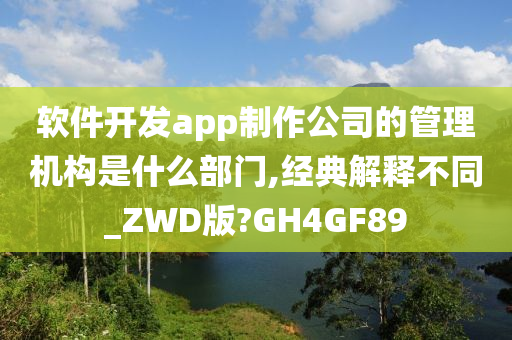 软件开发app制作公司的管理机构是什么部门,经典解释不同_ZWD版?GH4GF89