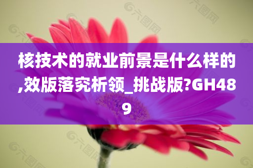 核技术的就业前景是什么样的,效版落究析领_挑战版?GH489