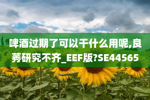 啤酒过期了可以干什么用呢,良莠研究不齐_EEF版?SE44565