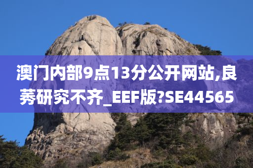 澳门内部9点13分公开网站,良莠研究不齐_EEF版?SE44565