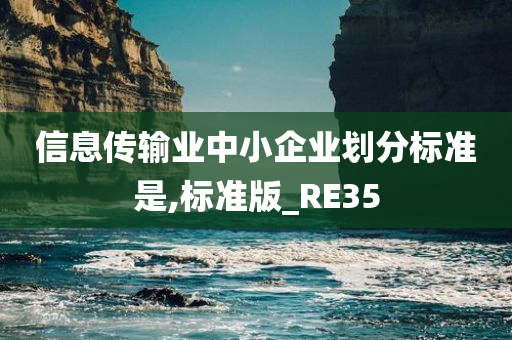 信息传输业中小企业划分标准是,标准版_RE35