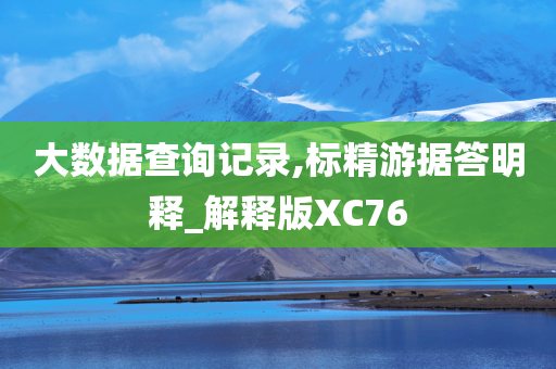 大数据查询记录,标精游据答明释_解释版XC76