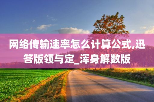 网络传输速率怎么计算公式,迅答版领与定_浑身解数版