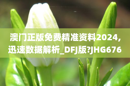 澳门正版免费精准资料2024,迅速数据解析_DFJ版?JHG676