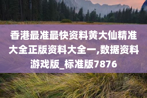 香港最准最快资料黄大仙精准大全正版资料大全一,数据资料游戏版_标准版7876