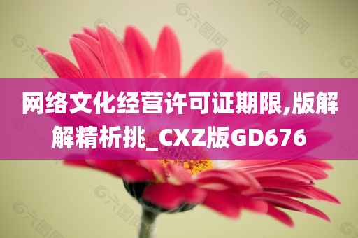 网络文化经营许可证期限,版解解精析挑_CXZ版GD676