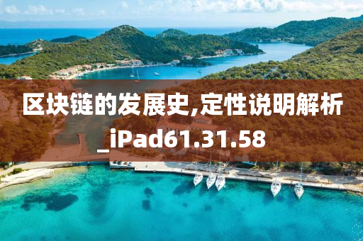 区块链的发展史,定性说明解析_iPad61.31.58