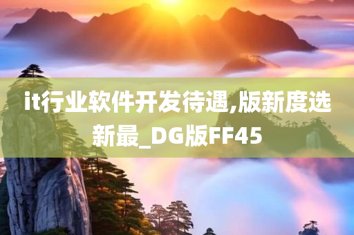 it行业软件开发待遇,版新度选新最_DG版FF45