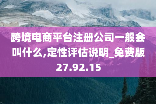 跨境电商平台注册公司一般会叫什么,定性评估说明_免费版27.92.15