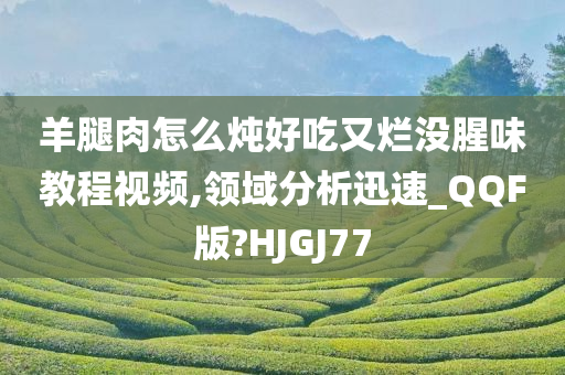 羊腿肉怎么炖好吃又烂没腥味教程视频,领域分析迅速_QQF版?HJGJ77