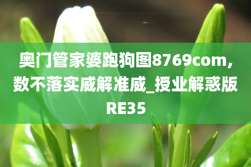 奥门管家婆跑狗图8769com,数不落实威解准威_授业解惑版RE35